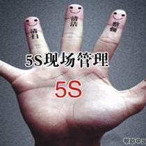 5S/6S/7S管理实务