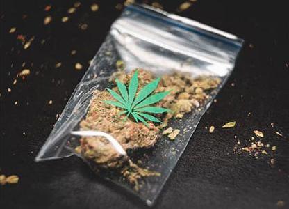 禁毒知識宣傳資料大全