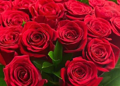 花語大全，我的花兒會說話~