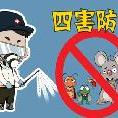 爱国卫生运动 ， 除四害知识科普