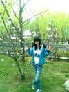 jiaoer