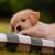 sina_1641500147