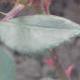 wode20141206