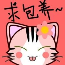 精品可行性研究報(bào)告