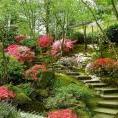 紅綠燈