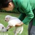 夏蜻蜓教育