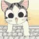 cute-cat
