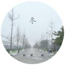 zhangchunyan--77273