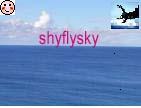 shyflysky