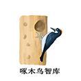 啄木鳥管理資料庫