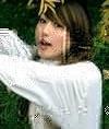 張新鳳