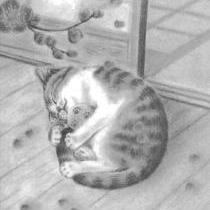 aemon1986