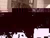 wkz84
