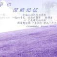 9112004ling