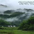 中心思維