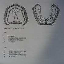 靳潇潇