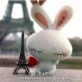 xiaoyl03