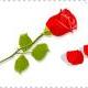 redapple_2011
