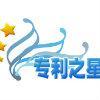 专利之星-中国专利专家检索使用说明 - 豆丁网