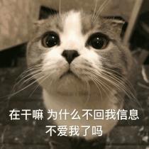 小老虎