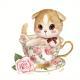 xinyu0404