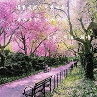 游園天使