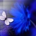 小雨