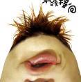lijunchl
