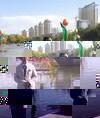 鋪路微光