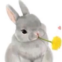 周大大