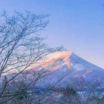 平淡、間約幸福〃